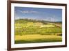 The Beaux Village De France of Vezelay in the Yonne Area, Burgundy, France, Europe-Julian Elliott-Framed Photographic Print