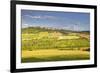 The Beaux Village De France of Vezelay in the Yonne Area, Burgundy, France, Europe-Julian Elliott-Framed Photographic Print