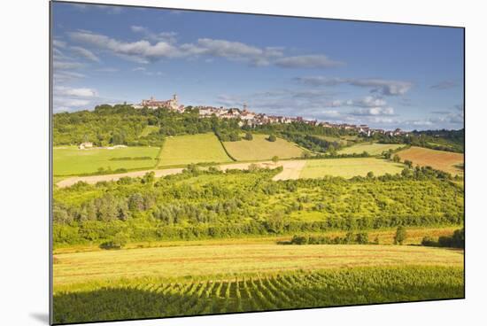 The Beaux Village De France of Vezelay in the Yonne Area, Burgundy, France, Europe-Julian Elliott-Mounted Photographic Print