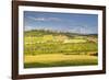 The Beaux Village De France of Vezelay in the Yonne Area, Burgundy, France, Europe-Julian Elliott-Framed Photographic Print