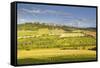 The Beaux Village De France of Vezelay in the Yonne Area, Burgundy, France, Europe-Julian Elliott-Framed Stretched Canvas