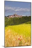 The Beaux Village De France of Vezelay in the Yonne Area, Burgundy, France, Europe-Julian Elliott-Mounted Photographic Print