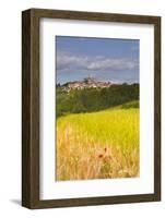 The Beaux Village De France of Vezelay in the Yonne Area, Burgundy, France, Europe-Julian Elliott-Framed Photographic Print