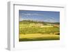 The Beaux Village De France of Vezelay in the Yonne Area, Burgundy, France, Europe-Julian Elliott-Framed Premium Photographic Print