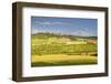 The Beaux Village De France of Vezelay in the Yonne Area, Burgundy, France, Europe-Julian Elliott-Framed Photographic Print