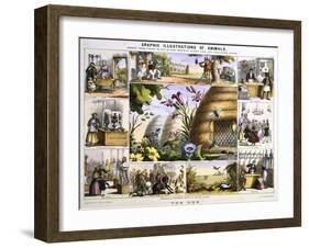 The Bee, C1850-Benjamin Waterhouse Hawkins-Framed Giclee Print