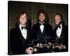 The Bee Gees-null-Stretched Canvas