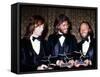 The Bee Gees-null-Framed Stretched Canvas