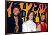 The Bee Gees-null-Framed Photo