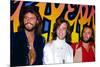 The Bee Gees-null-Mounted Photo