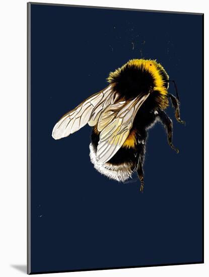 The Bee on Midnight Blue, 2020, (Pen and Ink)-Mike Davis-Mounted Giclee Print