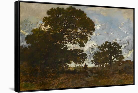 The Beech in the Forest of L'isle Adam, C.1866-67 (Oil on Canvas)-Theodore Rousseau-Framed Stretched Canvas