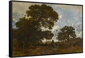 The Beech in the Forest of L'isle Adam, C.1866-67 (Oil on Canvas)-Theodore Rousseau-Framed Stretched Canvas