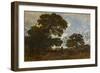 The Beech in the Forest of L'isle Adam, C.1866-67 (Oil on Canvas)-Theodore Rousseau-Framed Premium Giclee Print