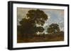 The Beech in the Forest of L'isle Adam, C.1866-67 (Oil on Canvas)-Theodore Rousseau-Framed Premium Giclee Print