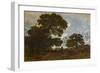 The Beech in the Forest of L'isle Adam, C.1866-67 (Oil on Canvas)-Theodore Rousseau-Framed Premium Giclee Print