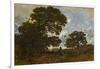 The Beech in the Forest of L'isle Adam, C.1866-67 (Oil on Canvas)-Theodore Rousseau-Framed Giclee Print