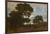 The Beech in the Forest of L'isle Adam, C.1866-67 (Oil on Canvas)-Theodore Rousseau-Framed Giclee Print