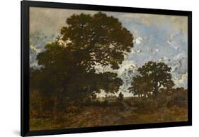 The Beech in the Forest of L'isle Adam, C.1866-67 (Oil on Canvas)-Theodore Rousseau-Framed Giclee Print