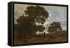 The Beech in the Forest of L'isle Adam, C.1866-67 (Oil on Canvas)-Theodore Rousseau-Framed Stretched Canvas