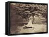 The Beech Tree, c.1855-7-Gustave Le Gray-Framed Stretched Canvas