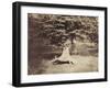The Beech Tree, c.1855-7-Gustave Le Gray-Framed Premium Photographic Print