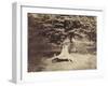 The Beech Tree, c.1855-7-Gustave Le Gray-Framed Premium Photographic Print