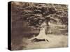 The Beech Tree, c.1855-7-Gustave Le Gray-Stretched Canvas