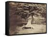 The Beech Tree, c.1855-7-Gustave Le Gray-Framed Stretched Canvas