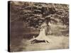 The Beech Tree, c.1855-7-Gustave Le Gray-Stretched Canvas