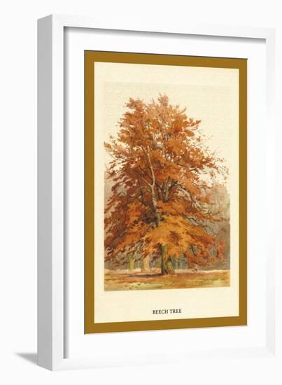 The Beech Tree-W.h.j. Boot-Framed Art Print