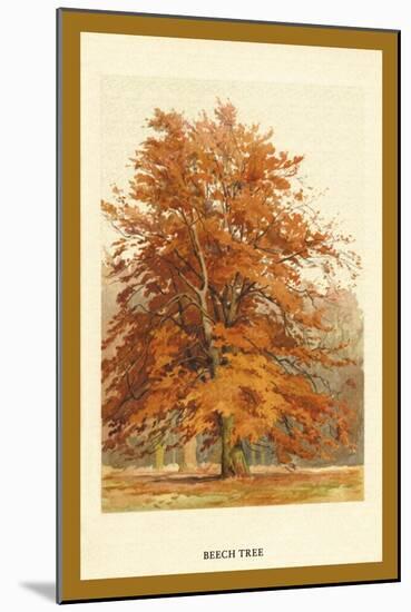 The Beech Tree-W.h.j. Boot-Mounted Art Print