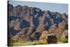 The Beehive-Like Mounds in the Purnululu National Park-Michael Runkel-Stretched Canvas