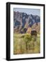 The Beehive-Like Mounds in the Purnululu National Park-Michael Runkel-Framed Photographic Print