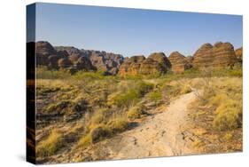The Beehive-Like Mounds in the Purnululu National Park-Michael Runkel-Stretched Canvas