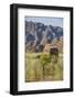 The Beehive-Like Mounds in the Purnululu National Park-Michael Runkel-Framed Photographic Print