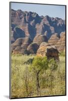 The Beehive-Like Mounds in the Purnululu National Park-Michael Runkel-Mounted Photographic Print