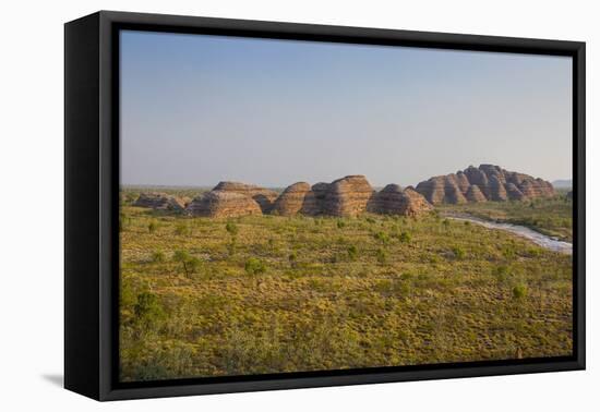 The Beehive-Like Mounds-Michael Runkel-Framed Stretched Canvas