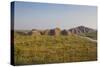 The Beehive-Like Mounds-Michael Runkel-Stretched Canvas