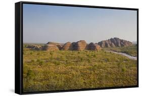 The Beehive-Like Mounds-Michael Runkel-Framed Stretched Canvas