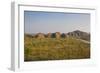 The Beehive-Like Mounds-Michael Runkel-Framed Photographic Print