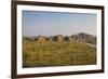 The Beehive-Like Mounds-Michael Runkel-Framed Photographic Print