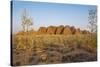 The Beehive-Like Mounds-Michael Runkel-Stretched Canvas