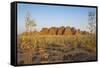 The Beehive-Like Mounds-Michael Runkel-Framed Stretched Canvas