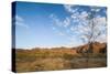 The Beehive-Like Mounds-Michael Runkel-Stretched Canvas