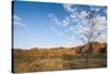 The Beehive-Like Mounds-Michael Runkel-Stretched Canvas