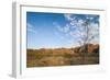 The Beehive-Like Mounds-Michael Runkel-Framed Photographic Print