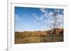 The Beehive-Like Mounds-Michael Runkel-Framed Photographic Print