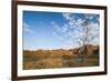 The Beehive-Like Mounds-Michael Runkel-Framed Photographic Print