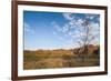 The Beehive-Like Mounds-Michael Runkel-Framed Photographic Print